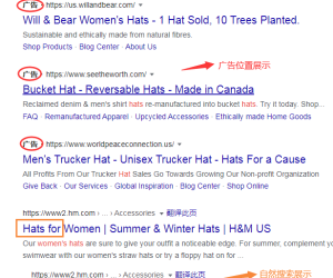 Google广告投放在网页前端是如何展示的呢？