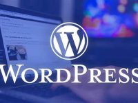 为什么WordPress建站更利于Google SEO优化？