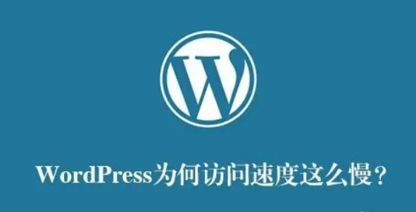 wordpress网站打开非常慢主要是外部静态资源问题