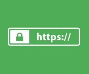 谷歌和百度对HTTPS的WP站点的收录全面开放