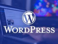 从零开始，快速打造一个功能强大的WordPress外贸网站