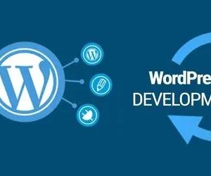 探究WordPress的优点及其缺点