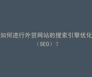 如何进行外贸网站的搜索引擎优化（SEO）？