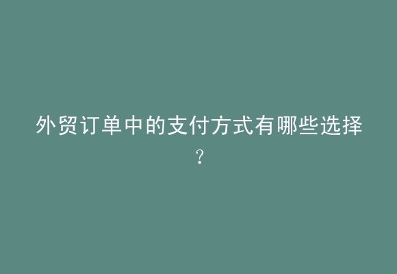 外贸订单中的支付方式有哪些选择？