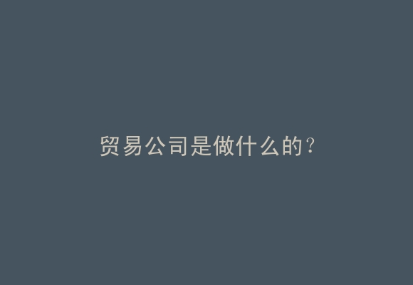 贸易公司是做什么的？