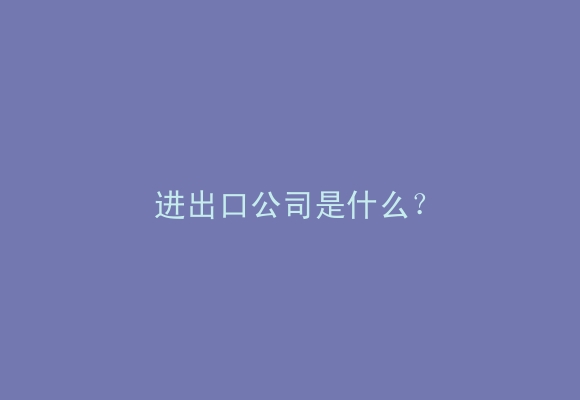 进出口公司是什么？