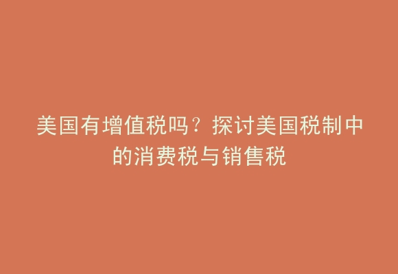 美国有增值税吗？探讨美国税制中的消费税与销售税