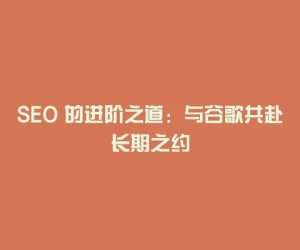 SEO 的进阶之道：与谷歌共赴长期之约