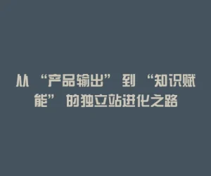 从 “产品输出” 到 “知识赋能” 的独立站进化之路