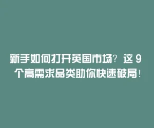 新手如何打开英国市场？这 9 个高需求品类助你快速破局！