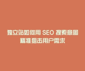 独立站如何用 SEO 搜索意图精准狙击用户需求