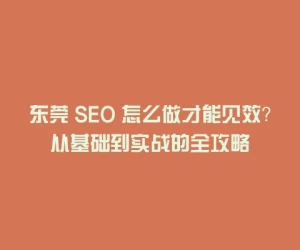 东莞 SEO 怎么做才能见效？从基础到实战的全攻略