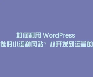 如何利用 WordPress 做好小语种网站？从开发到运营的全攻略