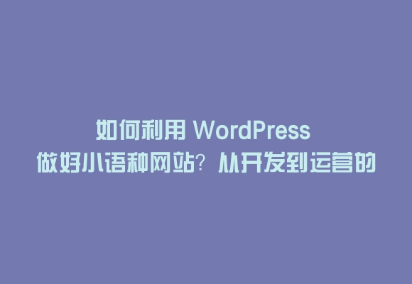 如何利用 wordpress 做好小语种网站？从开发到运营的全攻略