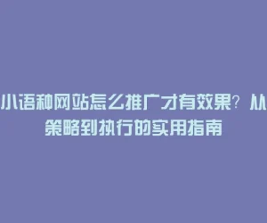 小语种网站怎么推广才有效果？从策略到执行的实用指南