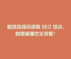 如何选择合适的 SEO 培训，快速掌握优化技能？