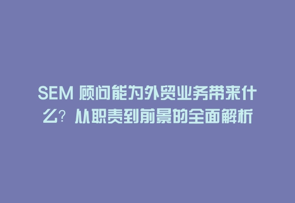 Sem 顾问能为外贸业务带来什么?从职责到前景的全面解析