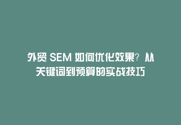 外贸 sem 如何优化效果?从关键词到预算的实战技巧