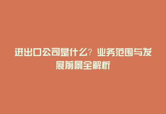 进出口公司是什么？业务范围与发展前景全解析