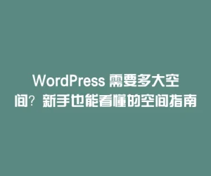 WordPress 需要多大空间？新手也能看懂的空间指南