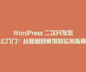 WordPress 二次开发怎么入门？从基础到案例的实用指南