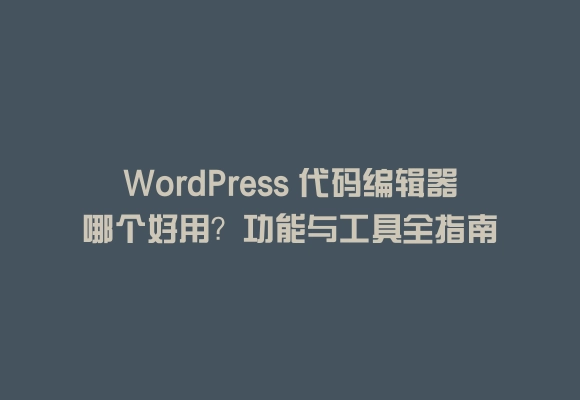 Wordpress 代码编辑器哪个好用？功能与工具全指南