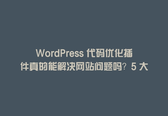Wordpress 代码优化插件真的能解决网站问题吗？5 大核心价值告诉你答案