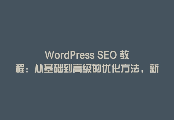 Wordpress seo 教程：从基础到高级的优化方法，新手也能学会
