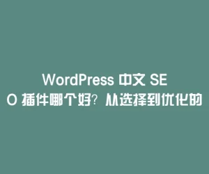 WordPress 中文 SEO 插件哪个好？从选择到优化的实用指南