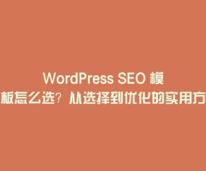WordPress SEO 模板怎么选？从选择到优化的实用方法