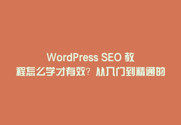 Wordpress seo 教程怎么学才有效？从入门到精通的实操步骤