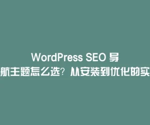 WordPress SEO 导航主题怎么选？从安装到优化的实用指南