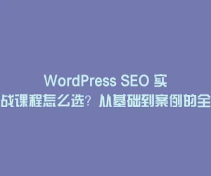 WordPress SEO 实战课程怎么选？从基础到案例的全面指南