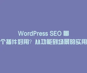 WordPress SEO 哪个插件好用？从功能到场景的实用推荐