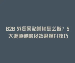 B2B 外贸网站营销怎么做？5 大渠道策略及效果提升技巧