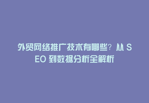 外贸网络推广技术有哪些？从 seo 到数据分析全解析