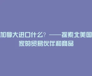 加拿大进口什么？——探索北美国家的贸易伙伴和商品