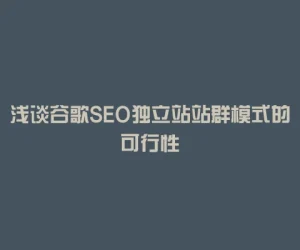 浅谈谷歌SEO独立站站群模式的可行性