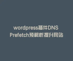 wordpress插件DNS Prefetch预解析提升网站加载速度
