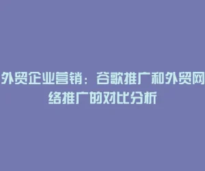 外贸企业营销：谷歌推广和外贸网络推广的对比分析