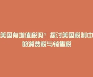 美国有增值税吗？探讨美国税制中的消费税与销售税