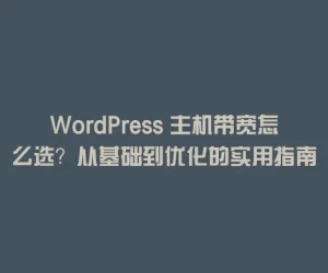 WordPress 主机带宽怎么选？从基础到优化的实用指南
