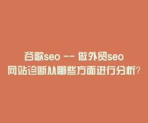 谷歌seo — 做外贸seo网站诊断从哪些方面进行分析？
