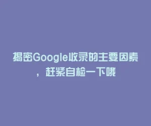 揭密Google收录的主要因素，赶紧自检一下哦