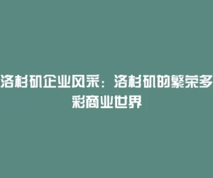 洛杉矶企业风采：洛杉矶的繁荣多彩商业世界
