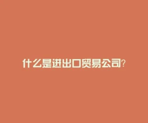 什么是进出口贸易公司？