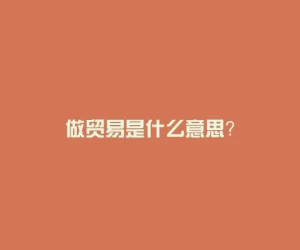 做贸易是什么意思？