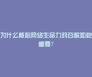 为什么核心网络生命力对谷歌如此重要？