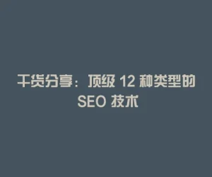 干货分享：顶级 12 种类型的 SEO 技术