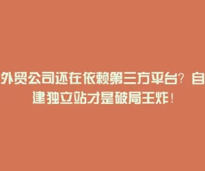 外贸公司还在依赖第三方平台？自建独立站才是破局王炸！